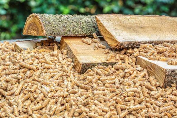 pellet per stufa e legna per camino
