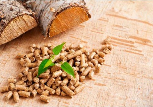 Confronto tra legna e pellet: vantaggi e svantaggi