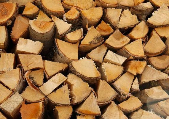 Qual è la legna migliore per la stufa?